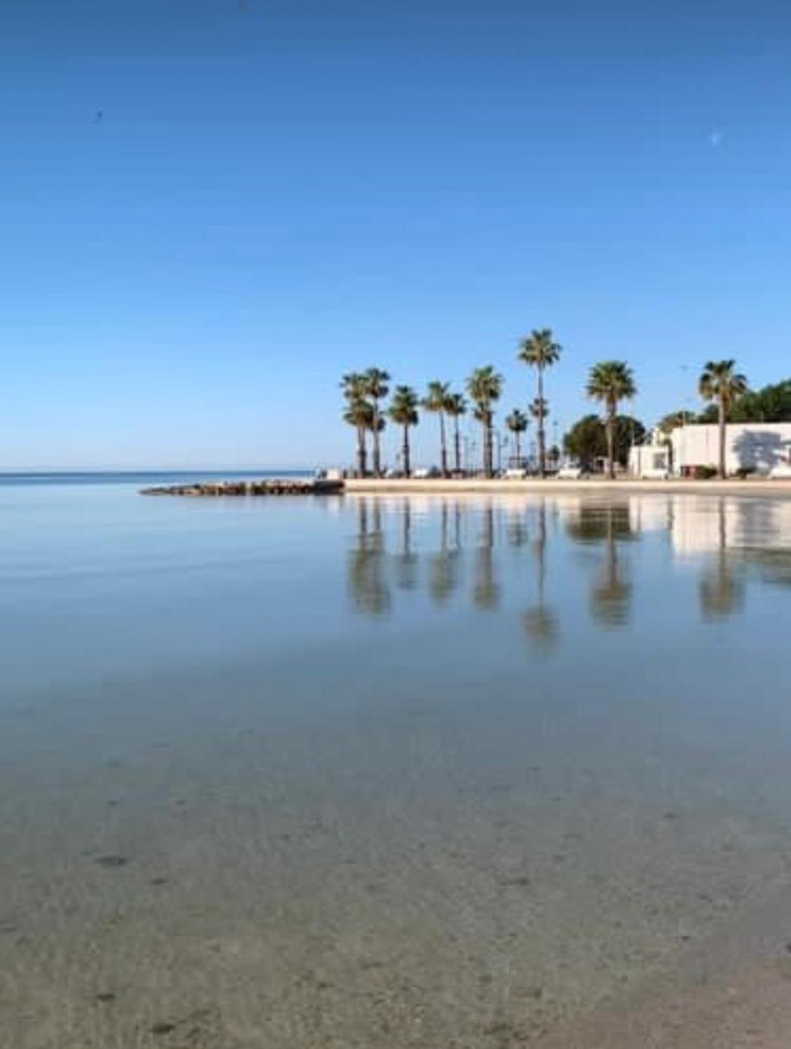 Viva Vista Mare Trilo Primo Piano Lägenhet Porto Cesareo Exteriör bild